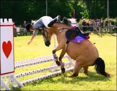 Tina est tombée sur le plus haut parcours ; quelle est ta réaction ?
