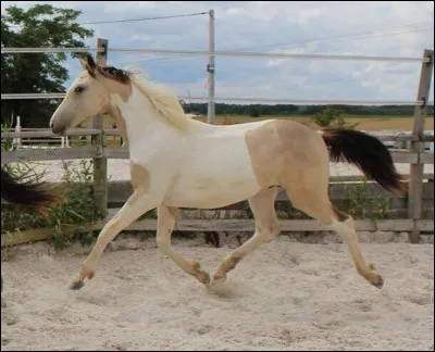 Tu montes Tornado ; quelle est ta réaction ?