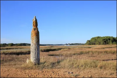 Une autre expression, d'origine populaire, se voit aujourd'hui quelque peu tombée dans l'oubli : laquelle ?