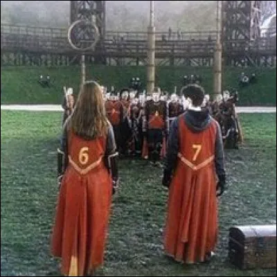 Qui demande le silence et arrive à se faire respecter au début des essais de quidditch ?