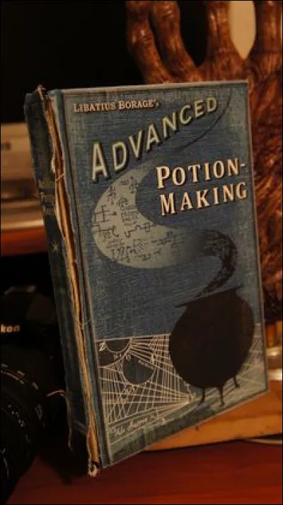À qui appartient le livre de potions de Harry ?