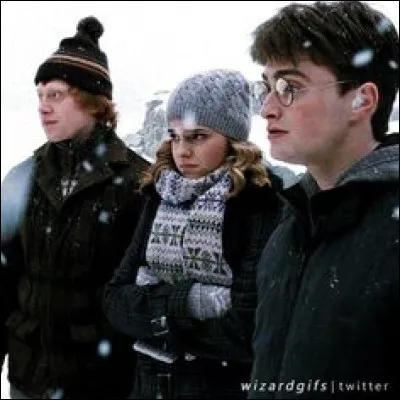 Qui s'est fait ensorceler ?