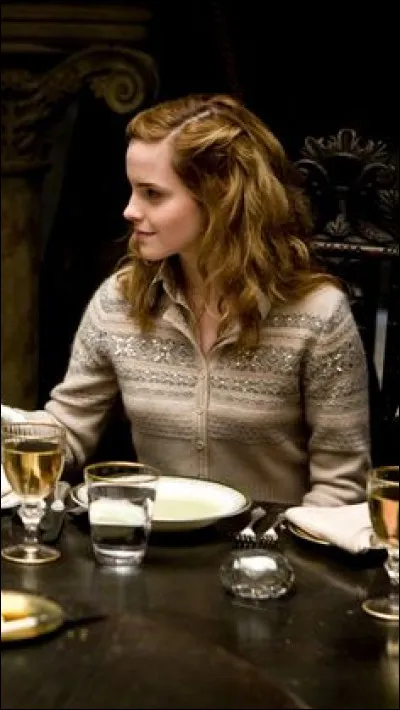 Quel est le métier des parents d'Hermione ?