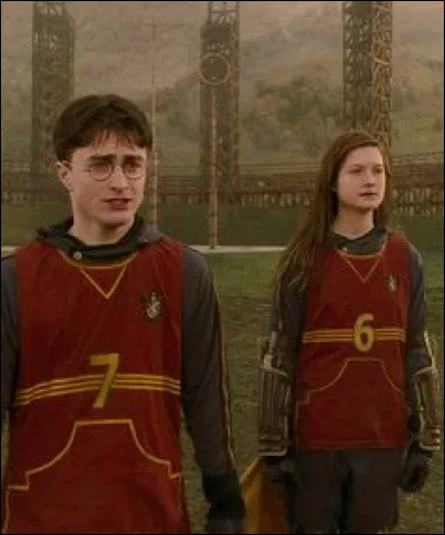 Quelle est la seule personne qui écoute Harry au début des sélections de quidditch ?