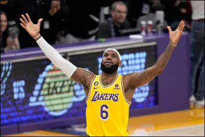 De quel sport LeBron James est-il connu ?