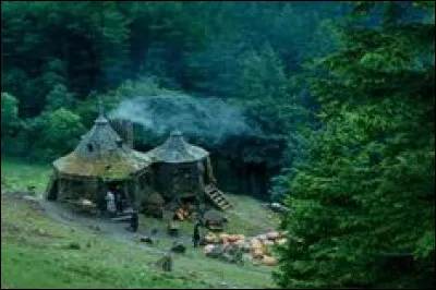 Qui brûle la cabane d'Hagrid ?