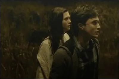 Qui brûle le Terrier ?