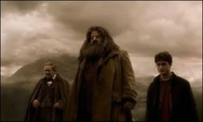 Quand Harry et Slughorn arrivent chez Hagrid, que découvrent-ils ?