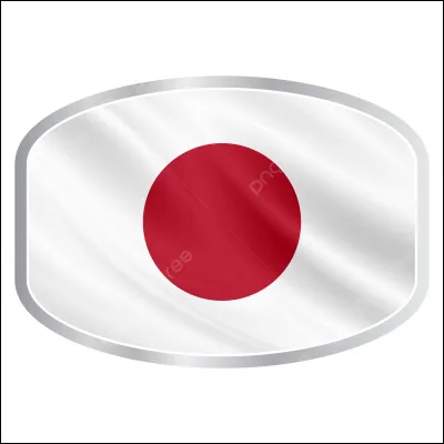 Que représente ce drapeau ?