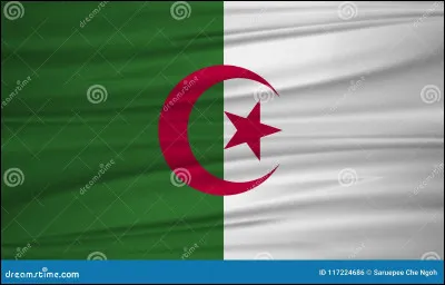 Que représente ce drapeau ?