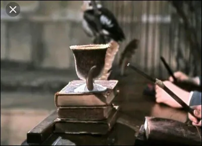 Métamorphose : Combien d'étapes faut-il faire pour devenir Animagi ?