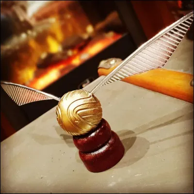 Vol : Quelle est la plus grosse balle ?