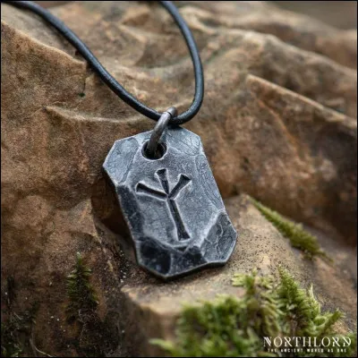 Étude des runes : Que signifie le mot ehwaz ?