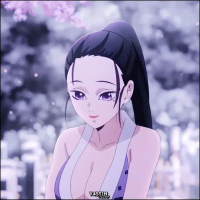 Comment se nomme la femme de Uzui Tengen (en violet) ?