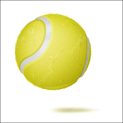 Laquelle de ces raquettes nous permet de jouer au tennis ?