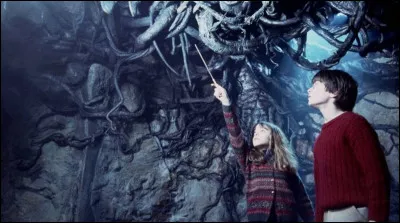 &Agrave; l'aide de ses amis, il doit r&eacute;cup&eacute;rer une pierre, mais il y a des &eacute;preuves. Laquelle est celle des plantes ?