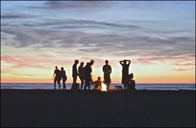 Combien as-tu d'amis ?