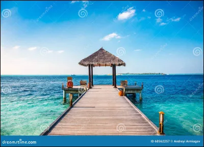 Tu passes la plupart de ton temps...