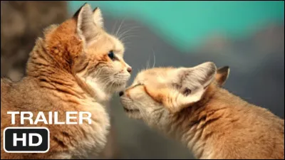 Qui est Fleur d'Etoile ?