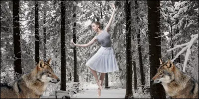 Regardez bien l'image et trouvez la bonne réponse ?