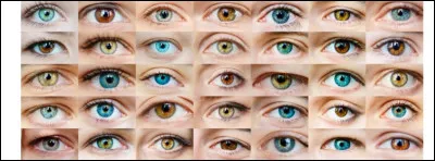 De quelle couleur sont tes yeux ?