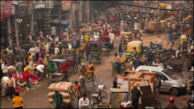 En Inde, qu'est-ce que le gau jal, une boisson que certains Indiens convaincus de ses bienfaits ont l'habitude de boire ?