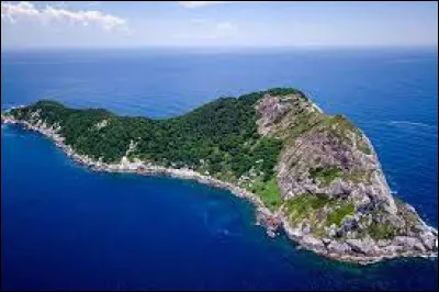 L'île de Queimada Grandeest connue comme étant le lieu abritant la population de serpents la plus dense de la planète. A quel pays appartient-elle ?