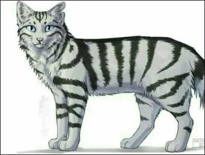 Alors qu'une de tes apprenties (Nuage Flamboyant) chassait, elle s'est fait capturer par le Clan de la Rivière. Ils demandent du cerfeuil en échange de sa libération. Que fais-tu ?