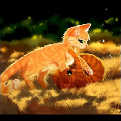 Au fait, comment t'appelles-tu ?