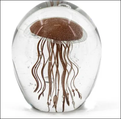 Combien de tentacules possède une méduse ?