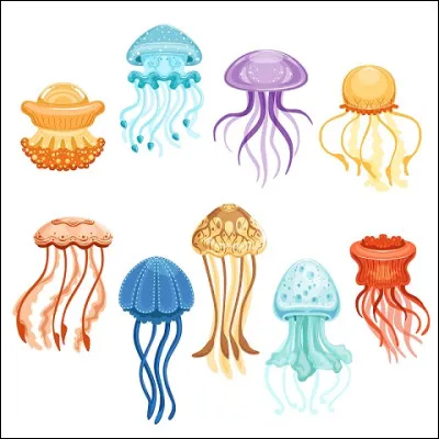 La méduse se déplace par ondulation.