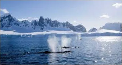 Quel est le plus grand désert du monde ?