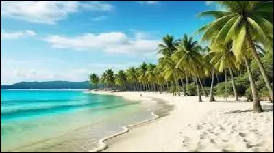 Parmi ces mots, lequel n'est pas un synonyme du mot "idyllique" ?