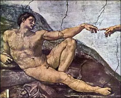 Qu'est-ce que la cryptorchidie ?