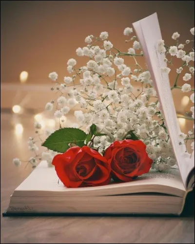 Tristesse : que lui disait Françoise Sagan dons son titre ?