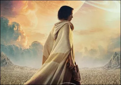 Quel film Netflix est représenté par ce poster ?