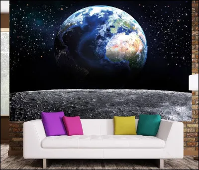 Quel savant a déclaré " ce qui est incompréhensible, c'est que le monde soit compréhensible" ?