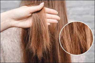 Quelle est ta couleur de cheveux ?