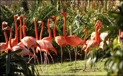 Aimes-tu les aventures ?