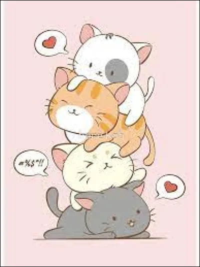 Lequel de ces chats est un sacré de Birmanie ?