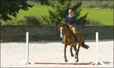 Les barres au sol peuvent aider à...