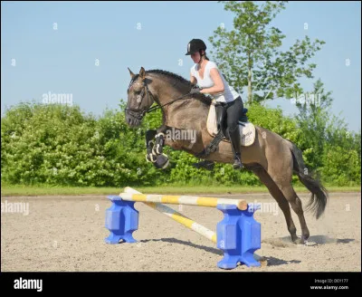 Quelles affirmations sont fausses.