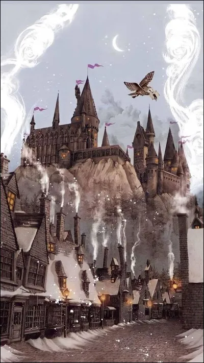 Quel est le sport des sorciers ?