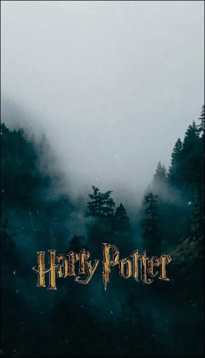 Quels sont les fidèles de Voldemort ?