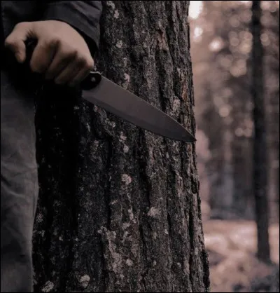 Dans quelle section d'âge les tributs sont-ils sélectionnés pour participer aux Hunger Games ?