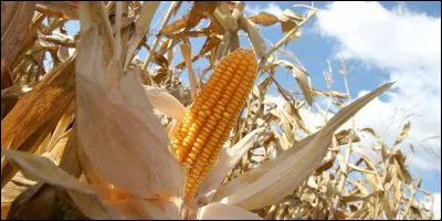 Il ne reste plus qu'à vous rendre au cinéma le 19 janvier 2024 ! Pourquoi ?