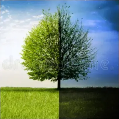 À quel moment te sens-tu le mieux : le jour ou la nuit ?