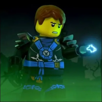 Comment se nomme le ninja bleu ?