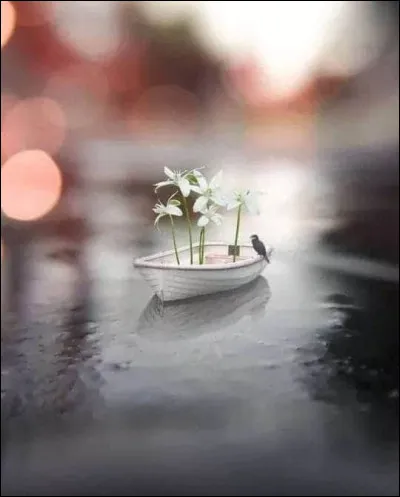 Je ne vous demanderai pas qui est l'auteur de "Trois Hommes dans un bateau", ce serait trop simple ! Mais quel est le nom du chien qui les accompagnait ?