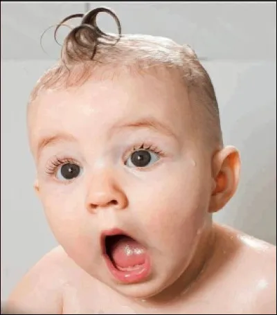 Votre mentor vous dit que le Clan de la Rivière est meilleur que celui dans lequel tu vis. Comment réagis-tu ?